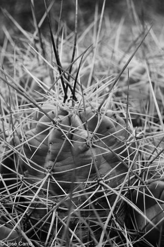 Mantenga su distancia