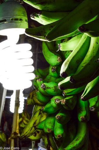 Verdes y sobreexpuestos