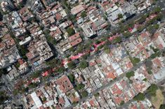 El tianguis