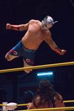 El vuelo