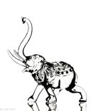 Elefante en clave alta