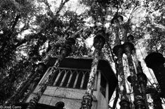 La casa en la selva