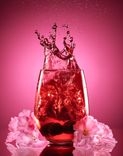 Swim into tmy drink